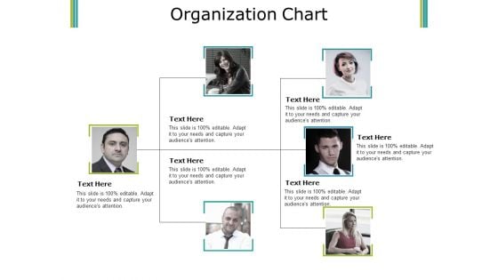 Organization Chart Ppt PowerPoint Presentation Ideas Graphics Download