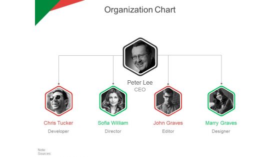 Organization Chart Ppt PowerPoint Presentation Ideas Tips