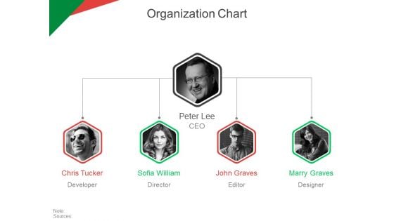 Organization Chart Ppt PowerPoint Presentation Ideas Tips Organization Chart Ppt PowerPoint Presentation Ideas Tips