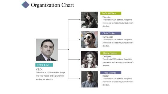 Organization Chart Ppt PowerPoint Presentation Infographic Template Gallery