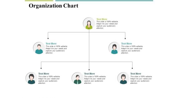 Organization Chart Ppt PowerPoint Presentation Infographics Guide