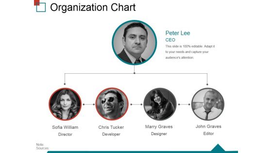 Organization Chart Ppt PowerPoint Presentation Inspiration Guide