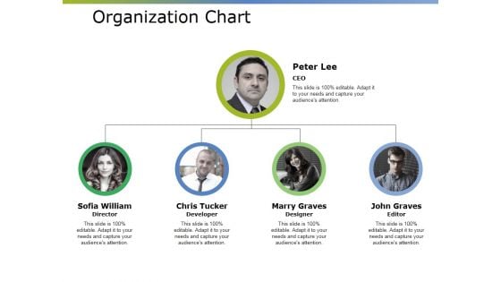 Organization Chart Ppt PowerPoint Presentation Inspiration Microsoft