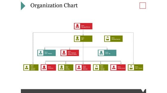 Organization Chart Ppt PowerPoint Presentation Layouts Slideshow