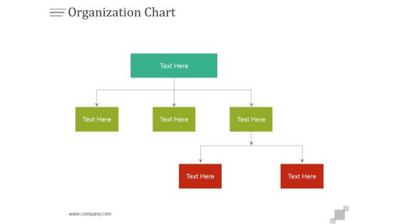 Organization Chart Ppt PowerPoint Presentation Professional