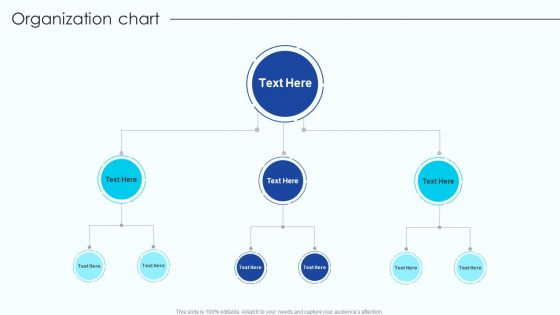 Organization Chart Vendor Management Program For Supplier Growth And Development Inspiration PDF Organization Chart Vendor Management Program For Supplier Growth And Development Inspiration PDF