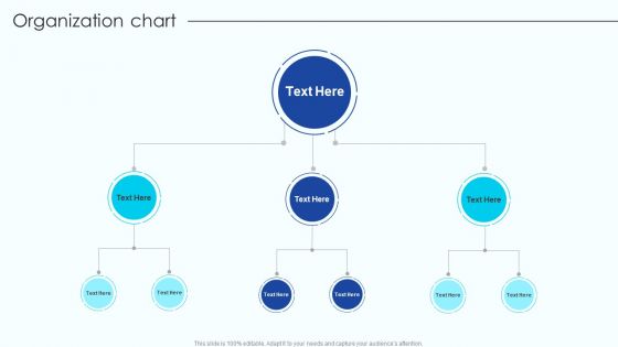 Organization Chart Vendor Management Program For Supplier Growth And Development Inspiration PDF