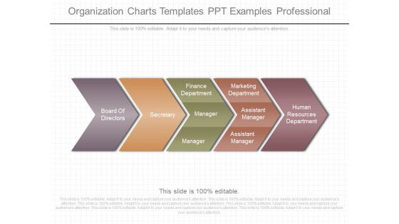 Organization Charts Templates Ppt Examples Professional