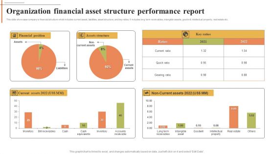 Organization Financial Asset Structure Performance Report Portrait PDF