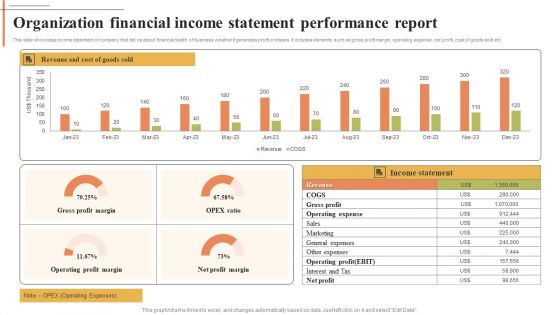Organization Financial Income Statement Performance Report Structure PDF