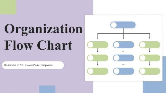 Organization Flow Chart Ppt PowerPoint Presentation Complete Deck With Slides
