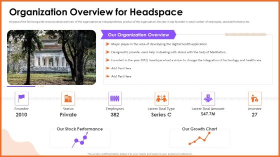 Organization Overview For Headspace Guidelines PDF