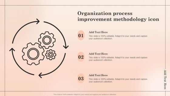 Organization Process Improvement Methodology Icon Inspiration PDF