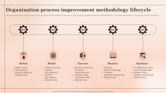 Organization Process Improvement Methodology Lifecycle Summary PDF
