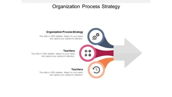 Organization Process Strategy Ppt PowerPoint Presentation Visual Aids Background Images Cpb Pdf Pdf