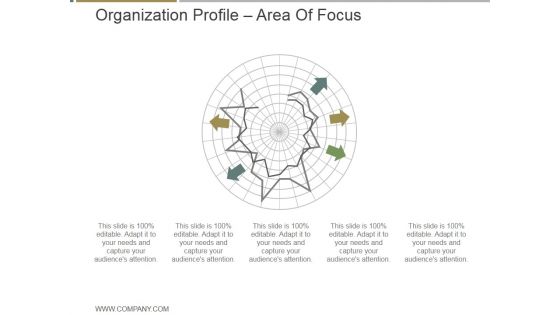 Organization Profile Area Of Focus Ppt PowerPoint Presentation Visual Aids