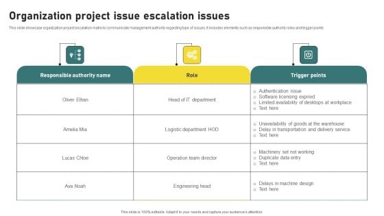 Organization Project Issue Escalation Issues Slides PDF