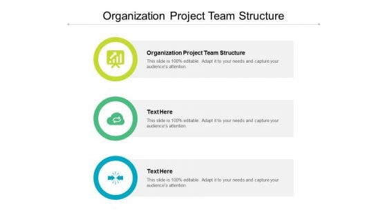 Organization Project Team Structure Ppt PowerPoint Presentation Inspiration Portfolio Cpb