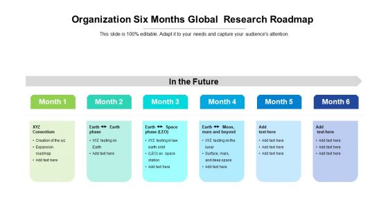 Organization Six Months Global Research Roadmap Professional Organization Six Months Global Research Roadmap Professional