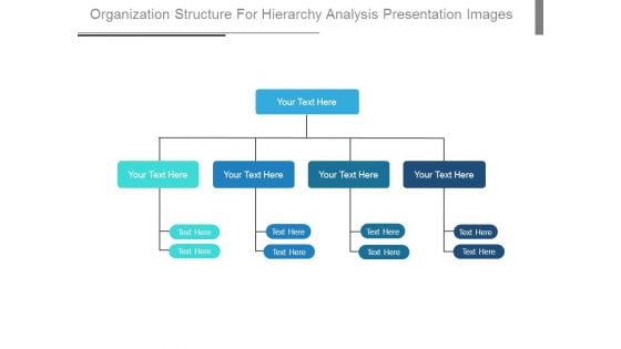 Organization Structure For Hierarchy Analysis Presentation Images