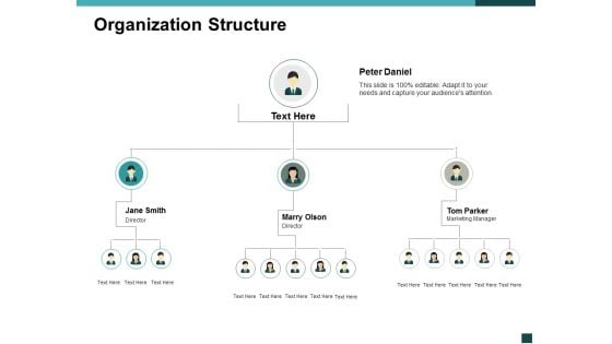 Organization Structure Management Ppt Powerpoint Presentation Ideas Example