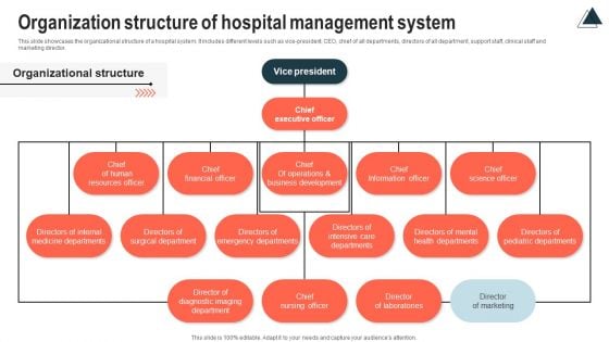 Organization Structure Of Hospital Management System Themes PDF