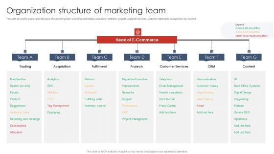 Organization Structure Of Marketing Team Digital Marketing Strategy Deployment Professional PDF