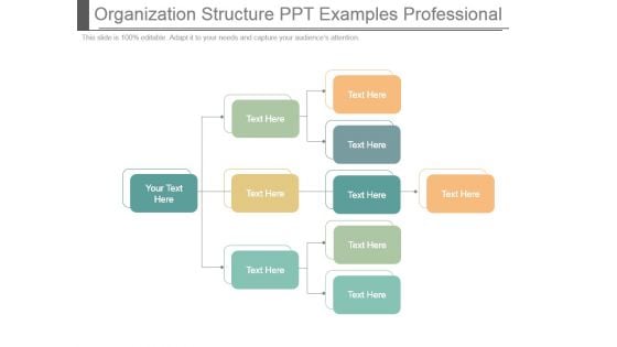 Organization Structure Ppt Examples Professional