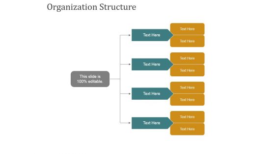 Organization Structure Ppt PowerPoint Presentation Gallery Icons