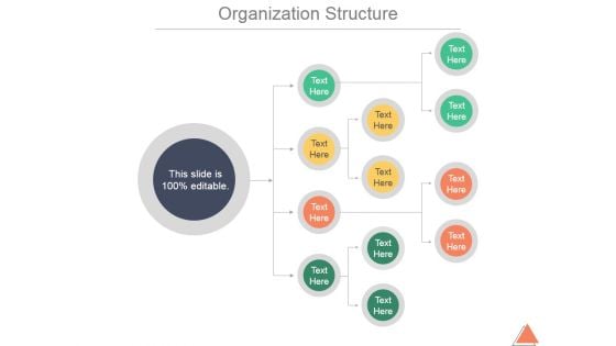 Organization Structure Ppt PowerPoint Presentation Infographic Template
