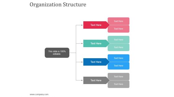 Organization Structure Ppt Powerpoint Presentation Infographics Icon