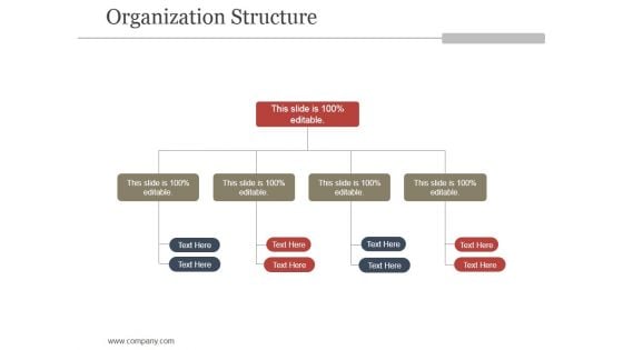 Organization Structure Ppt PowerPoint Presentation Picture