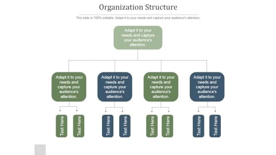 Organization Structure Ppt PowerPoint Presentation Rules Organization Structure Ppt PowerPoint Presentation Rules