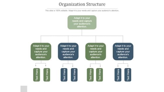 Organization Structure Ppt PowerPoint Presentation Rules