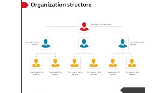 Organization Structure Ppt PowerPoint Presentation Show Graphics Example