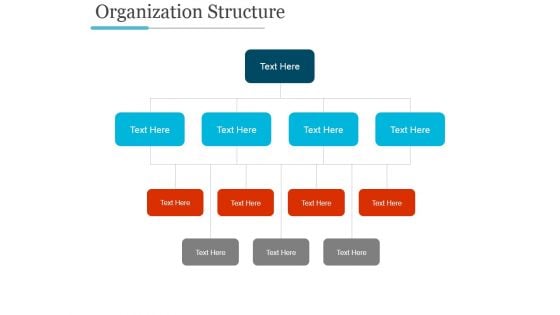 Organization Structure Ppt PowerPoint Presentation Styles