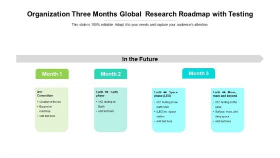 Organization Three Months Global Research Roadmap With Testing Infographics
