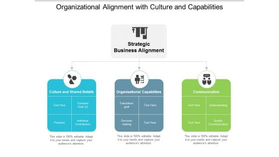 Organizational Alignment With Culture And Capabilities Ppt PowerPoint Presentation Inspiration Show