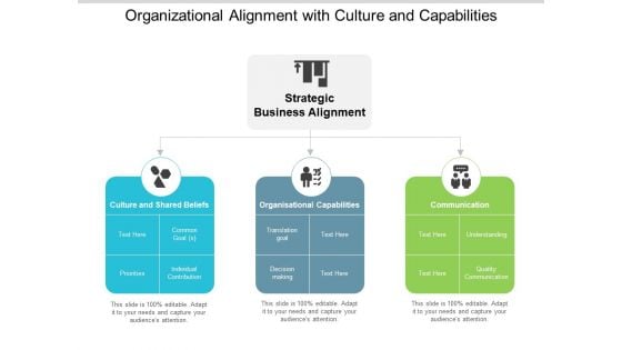 Organizational Alignment With Culture And Capabilities Ppt Powerpoint Presentation Styles Example