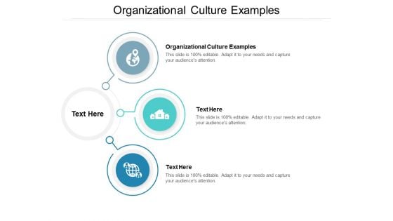 Organizational Culture Examples Ppt PowerPoint Presentation Summary Elements Cpb