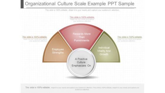 Organizational Culture Scale Example Ppt Sample