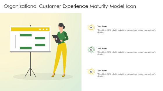 Organizational Customer Experience Maturity Model Icon Demonstration PDF