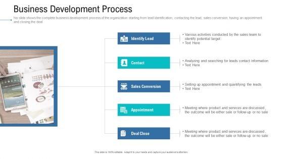 Organizational Development And Promotional Plan Business Development Process Formats PDF