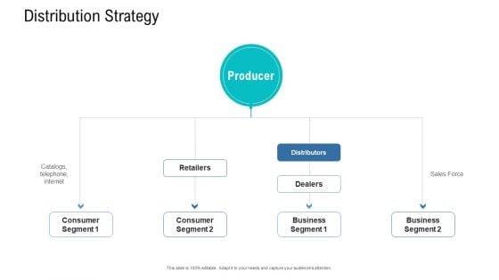 Organizational Development And Promotional Plan Distribution Strategy Structure PDF