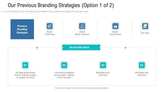Organizational Development And Promotional Plan Our Previous Branding Strategies Mockup PDF Organizational Development And Promotional Plan Our Previous Branding Strategies Mockup PDF