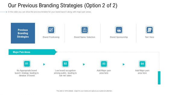 Organizational Development And Promotional Plan Our Previous Branding Strategies Sample PDF