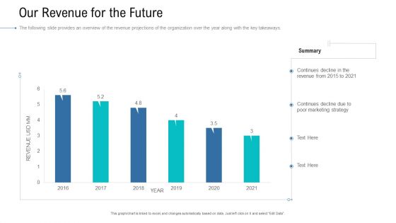 Organizational Development And Promotional Plan Our Revenue For The Future Background PDF