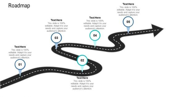 Organizational Development And Promotional Plan Roadmap Infographics PDF