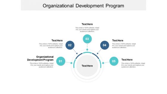 Organizational Development Program Ppt PowerPoint Presentation Pictures Visual Aids Cpb