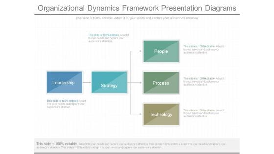 Organizational Dynamics Framework Presentation Diagrams